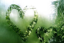 葡萄牙vs丹麦首发阵容会有哪些看点？